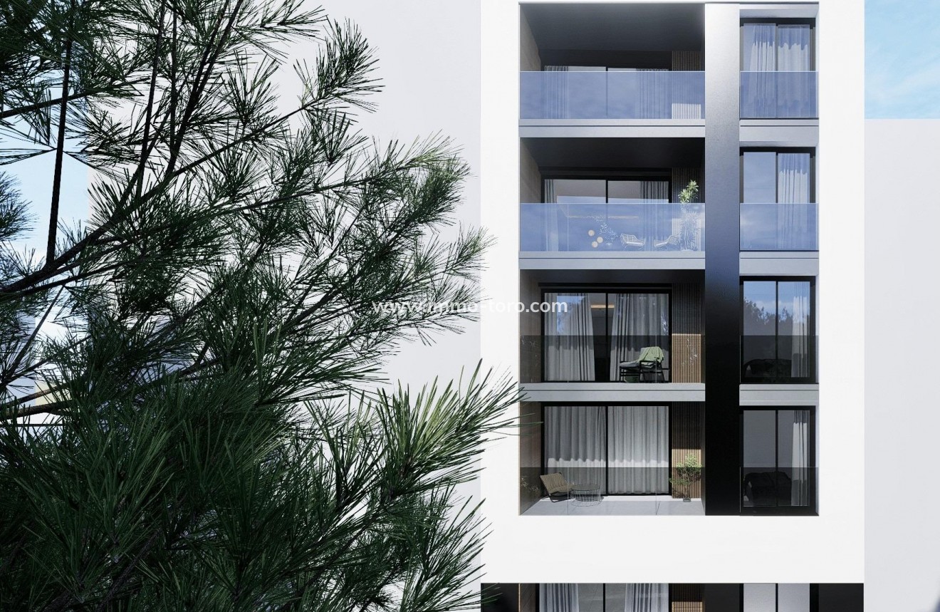 New Build - Penthouse - Guardamar - Guardamar del Segura