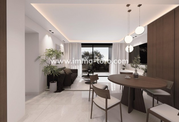 New Build - Penthouse - Guardamar - Guardamar del Segura