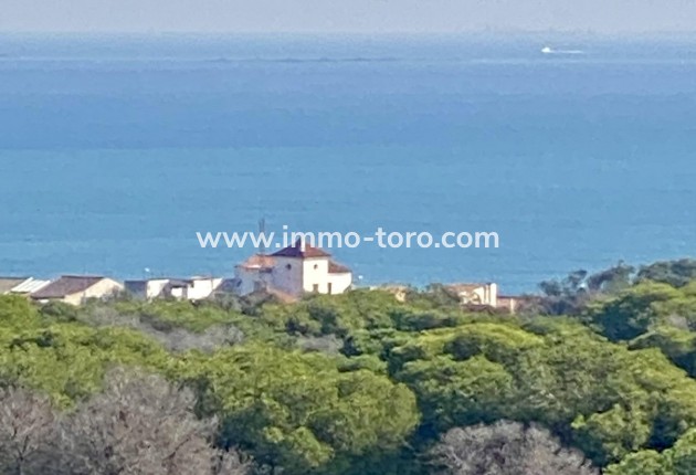 New Build - Penthouse - Guardamar - Guardamar del Segura