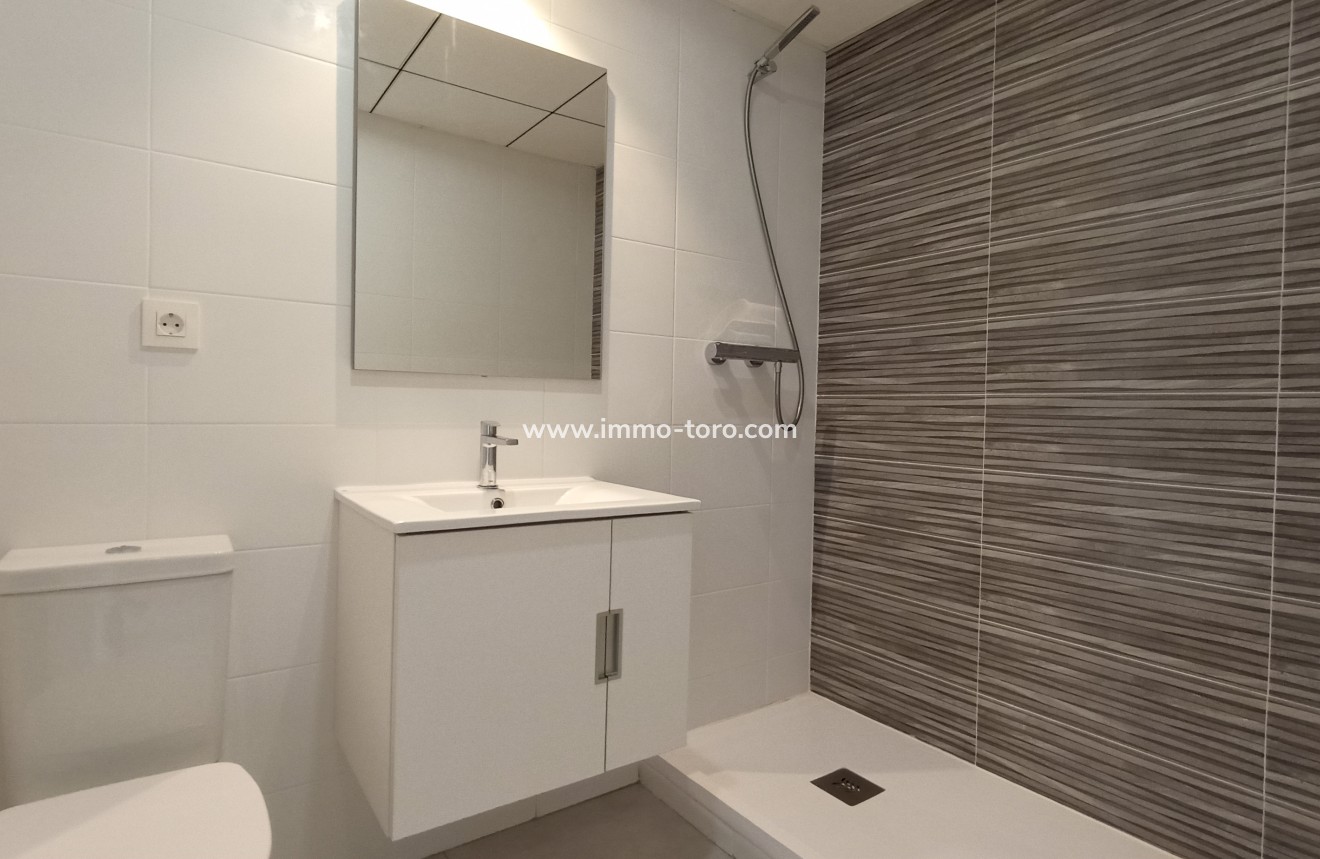 Nouvelle construction - Appartement - Mil Palmeras