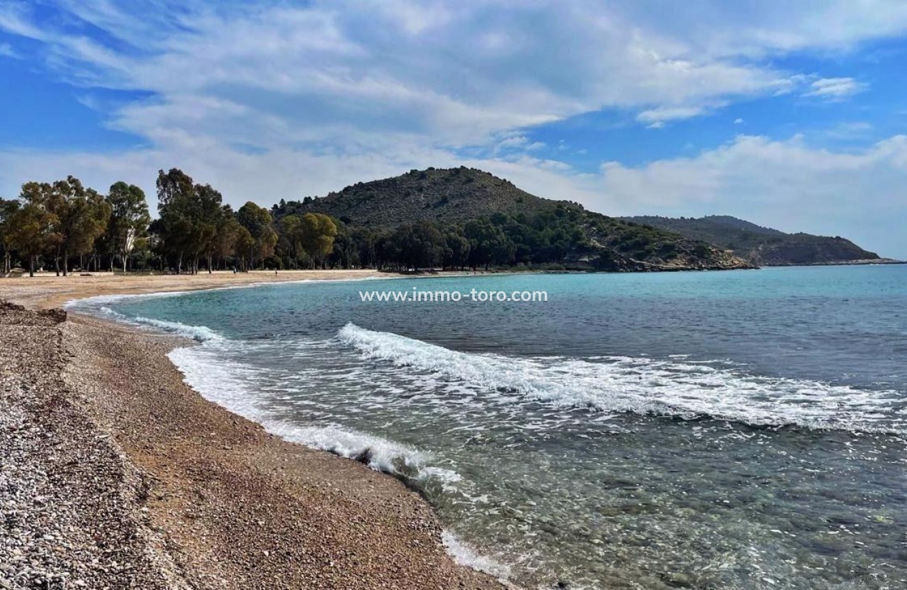 Nieuwbouw - Appartement  - Villajoyosa - Playa del Torres