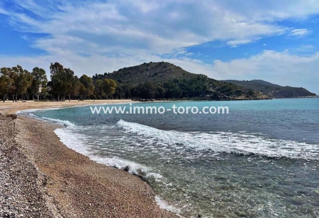 Nieuwbouw - Appartement  - Villajoyosa - Playa del Torres