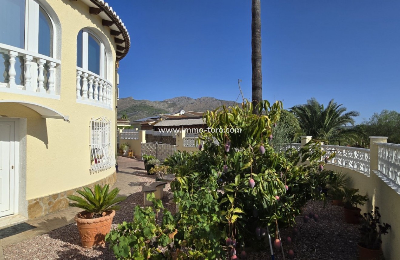 Revente - Villa - Orba