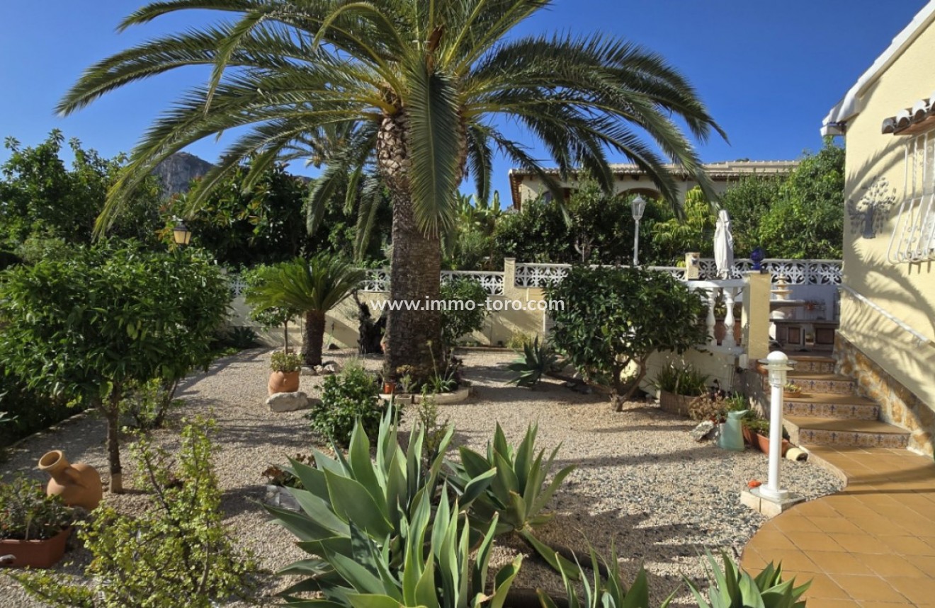 Revente - Villa - Orba