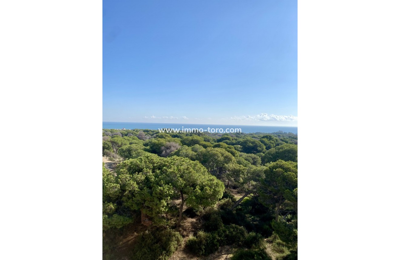 New Build - Apartment - Guardamar - Guardamar del Segura