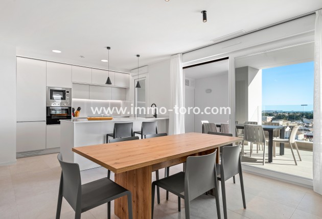 Nouvelle construction - Penthouse - Los Alcázares