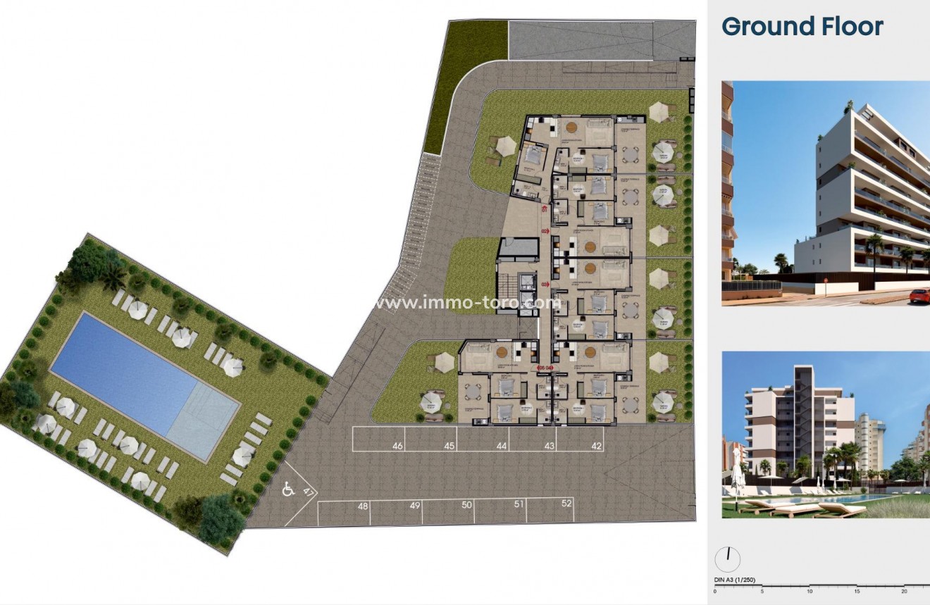 New Build - Apartment - Guardamar - Puerto