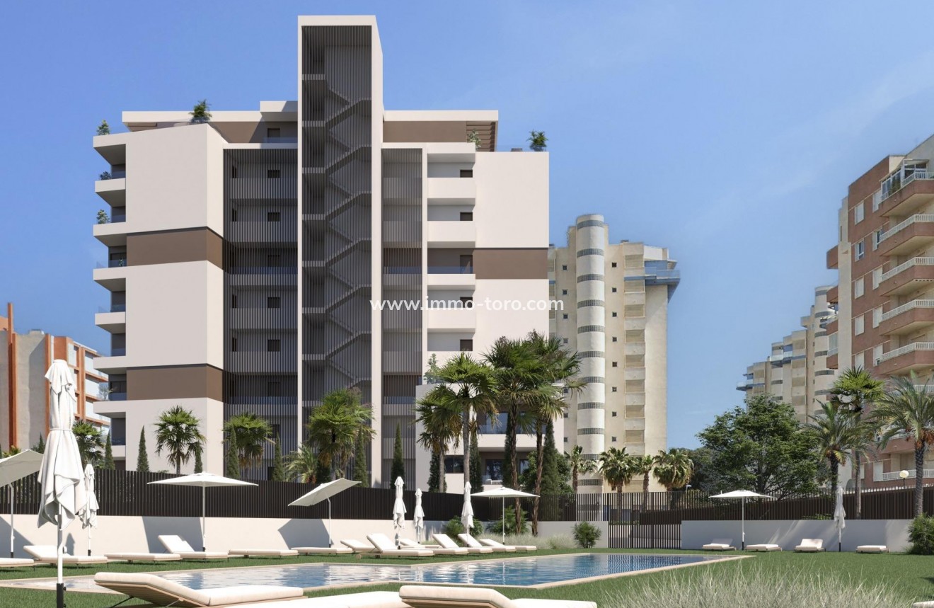 New Build - Penthouse - Guardamar - Puerto