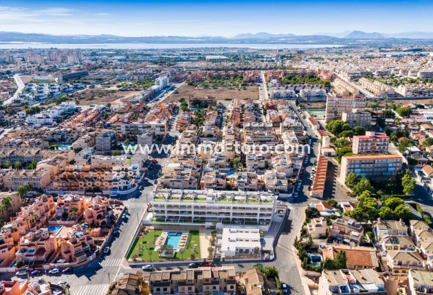 New Build - Penthouse - Torrevieja - Los Frutales