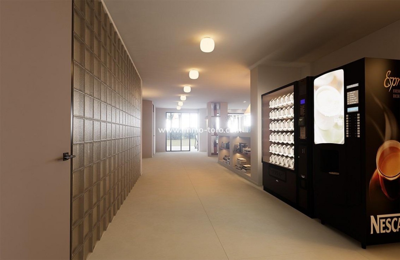 New Build - Penthouse - Torrevieja - Los Frutales