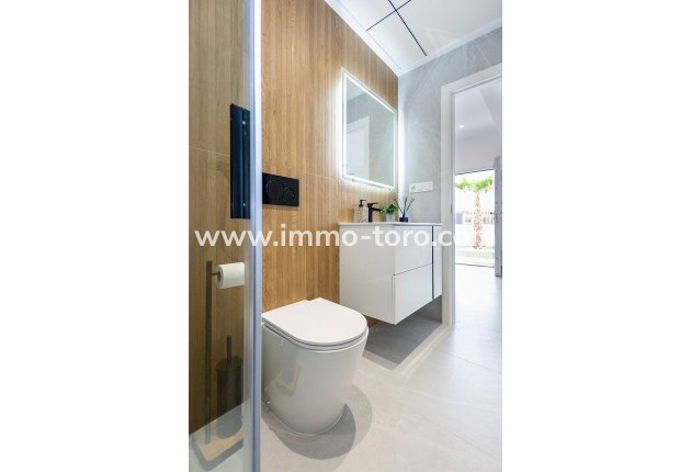 New Build - Detached house / Townhouse - Vistabella