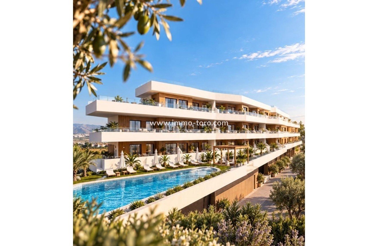Nueva construcción  - Ático - Formentera del Segura - Pueblo 5